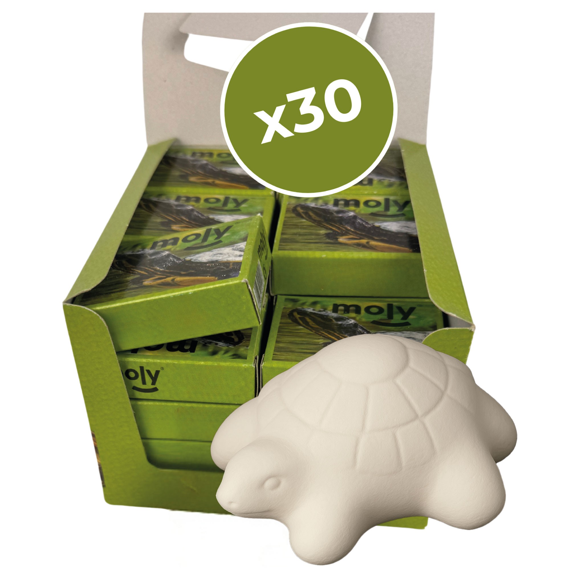 MOLY CALCIO TORTUGAS EXPO X 30 UNID