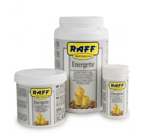 PROFESSIONAL ENERGETTE 100 G